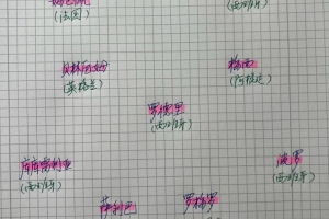 杨晨评世界杯最佳阵容：梅西入选，哈兰德、姆巴佩、亚马尔领衔进攻线