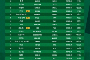 国安中超转会名单更新:新增刘邵子洋、斯帕吉奇等球员,恩科洛洛被撤回